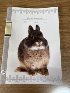うさぎのしっぽ　健康手帳のサムネイル