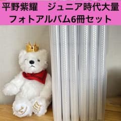 平野紫耀 ジュニア時代大量　公式写真 ファイル6冊　まとめ売りセット 平野紫耀 ジュニア時代大量 公式写真 ファイル6冊 まとめ売りセット