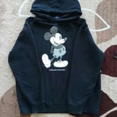 ディズニーパーカーのサムネイル