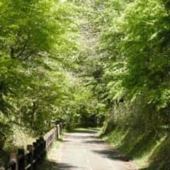 hanamahlo様 専用のサムネイル