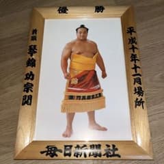 優勝額　平成10年11月場所　前頭琴錦　大相撲のサムネイル