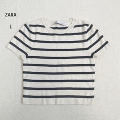 ザラ ZARA ボーダーニット 半袖 クルーネック グロップド丈 L 丈短