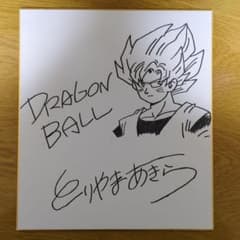 m59034095864_1.jpg?1710578117