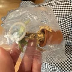 ハリー・ポッター マンドレイク めじるしアクセサリー ガチャのサムネイル