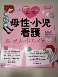 母性・小児看護ぜんぶガイド : 基礎知識 アセスメント 異常・疾患 技術 : …のサムネイル