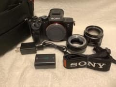 美品 シャッター回数600枚未満 SONY α7 III ミラーレス一眼カメラ