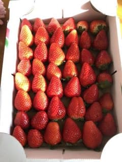 makocyanさん  クール便追加のサムネイル