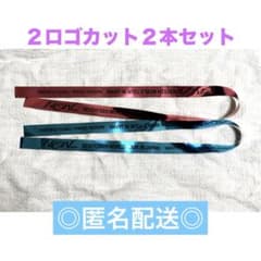 SEVENTEEN NEW 銀テ 2ロゴカット 青 ピンク 2枚セットのサムネイル