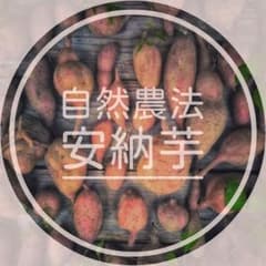 ■希少■　数量限定　自然農法　自然栽培　安納芋　2キロ以上　無農薬　オーガニックのサムネイル