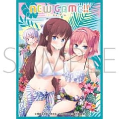 캬라 슬리브 컬렉션 디럭스 NEW GAME!! Part.2