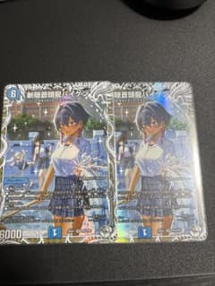斬隠蒼頭龍バイケン　キャラプレミアムトレジャー　2枚のサムネイル