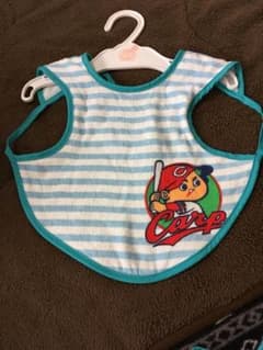 カープ スタイのサムネイル