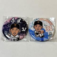 読売ジャイアンツ　赤星優志のサムネイル