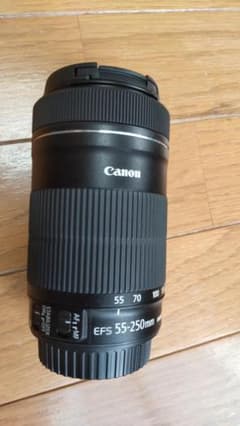 CANON EF-S55-250 F4-5.6 IS STMのサムネイル