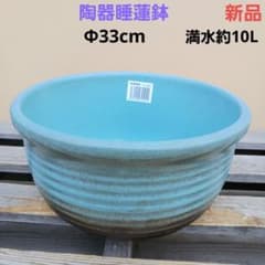 新品　特大50　陶器　睡蓮鉢　メダカ鉢　難有　ラリマーブルー　スカイブルーLWC 新品 33cm 陶器 睡蓮鉢 メダカ鉢 難有 ラリマーブルー スカイブルーSWC