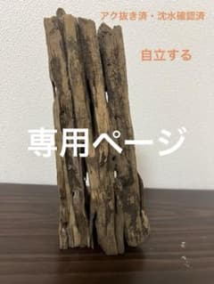 XM-510 流木 マシンガンウッド アクアリウム ブランチウッド 沈水確認