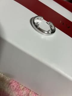 シルバーリンク　猫耳のサムネイル
