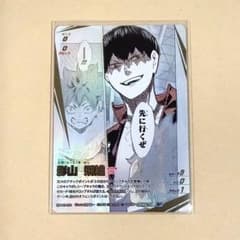 ハイキュー!! バボカ!! BREAK 影山飛雄 頂P - メルカリ