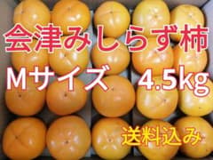 会津みしらず柿　4.5kg   Mサイズ　無農薬のサムネイル