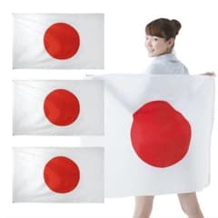 国旗 日の丸 日本国旗 3個セット 応援グッズ サッカー スポーツ観戦のサムネイル