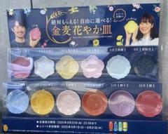 【全種コンプリート】金麦 花やか皿 12枚セット ❣️日比谷花壇コラボ 全種コンプリート】金麦 花やか皿 12枚セット ❣️日比谷花壇