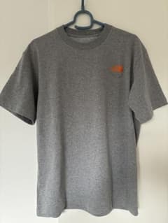 THE NORTH FACE メンズTシャツ グレー Sのサムネイル