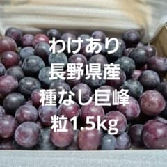 わけあり長野県産種なし巨峰粒1.5kgのサムネイル
