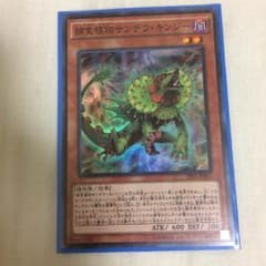 遊戯王 捕食植物サンデウ キンジーのサムネイル