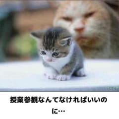 【オク氏様★専用ページ】のサムネイル
