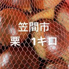 茨城県笠間市産 栗1キロ 4Lのサムネイル