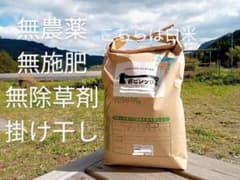 宮崎県産　ひのひかり『七分づき』　5キロ　無農薬掛け干し米 2023年産のサムネイル