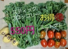野菜のサムネイル