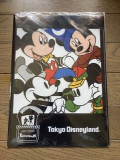 ディズニーランド トゥーンタウン A4サイズ クリアホルダー クリアファイルのサムネイル