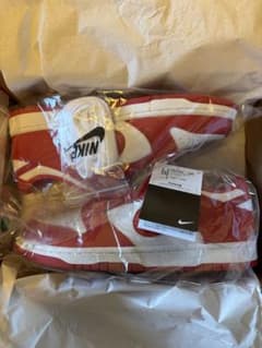 NIKE DUNK LOW SP ホワイト/ユニバーシティレッドのサムネイル