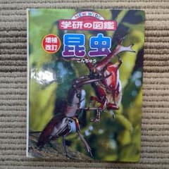 【学研の図鑑】ニュー・ワイド 学研の図鑑 昆虫のサムネイル