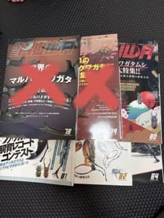 BE-KUWA 昆虫専門誌 80号〜82号、84号　4冊まとめ売りのサムネイル