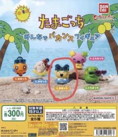 たまごっち みんなでバカンスフィギュア まめっちのサムネイル