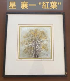 ♦︎破格値♦︎【市場で高値取引き】星襄一 
