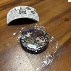 ぴた！でふぉめ 鬼滅の刃 無限城編弍 缶バッジ 竈門炭治郎&冨岡義勇 ②
