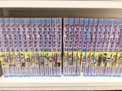 スティールボールラン　ジョジョリオン　全巻セット売りのサムネイル