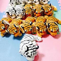 ☆もも♪☆様  専用‼︎のサムネイル