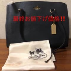min_min様専用です‼️COACHショルダーバッグ新品未使用‼️のサムネイル