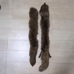 毛皮　マフラーのサムネイル