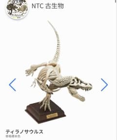古生物 ネイチャーテクニカラー　ティラノサウルスのサムネイル