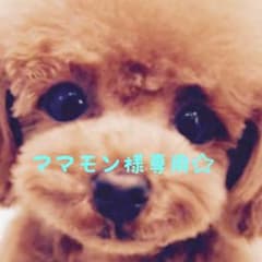 ママモン様専用 壁飾りのサムネイル