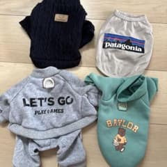 犬服セット Doodlebug Patagonia Baylor 4点セットのサムネイル