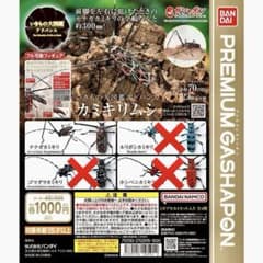 テナガカミキリムシ　いきもの大図鑑アドバンスのサムネイル