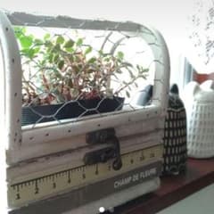 レグルプランター♡多肉植物♡観葉植物♡ガーデニング雑貨のサムネイル