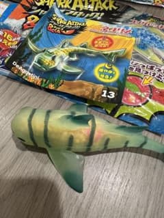 シャークアタック&co ネコザメのサムネイル