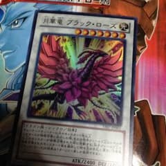 月華竜ブラックローズのサムネイル